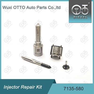 7135-580 Delphi Injector Repair Kit For Injector R00001D