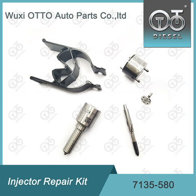 7135-580 Delphi Injector Repair Kit For Injector R00001D