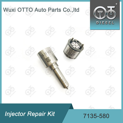 7135-580 Delphi Injector Repair Kit For Injector R00001D