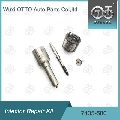 7135-580 Delphi Injector Repair Kit For Injector R00001D