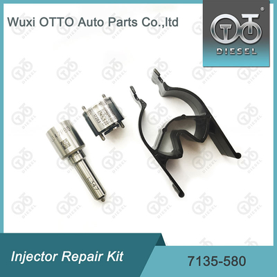 7135-580 Delphi Injector Repair Kit For Injector R00001D