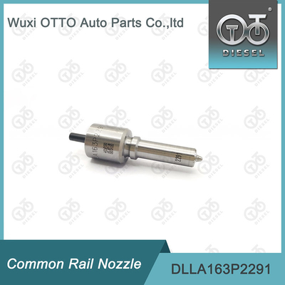 DLLA163P2291 Common Rail Nozzle For Injectors 0445110476/477 0986435241
